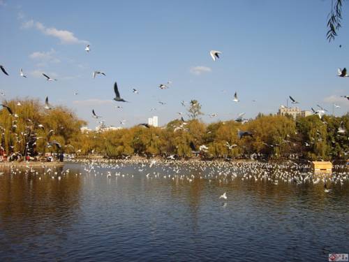 Kunming China código de descuento de vacaciones booking.com